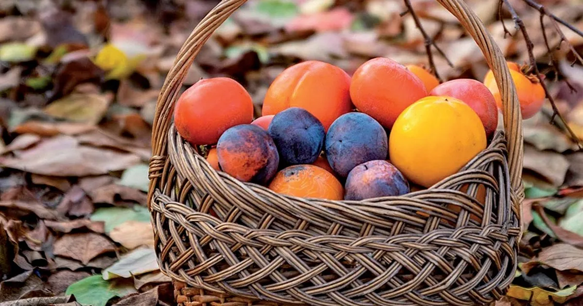 Зібрала неповторну колекцію екзотичних речей.