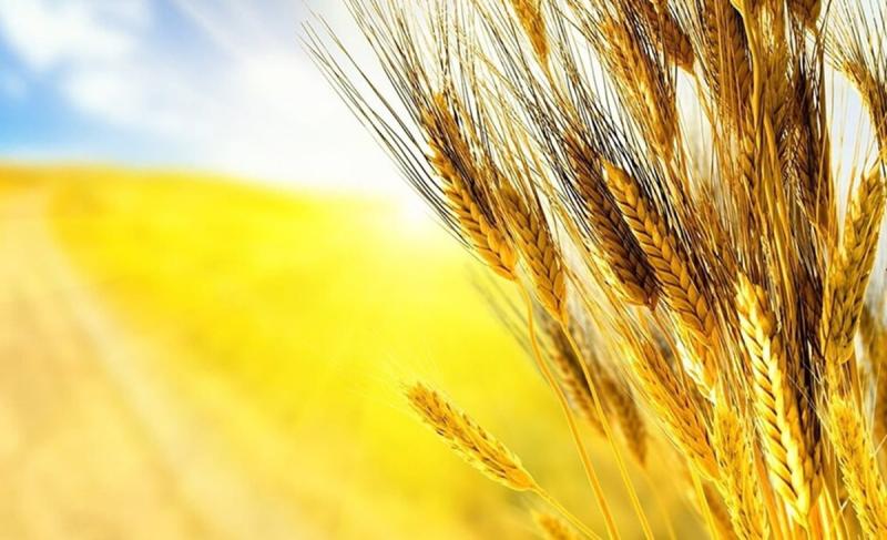 Як висловити українською