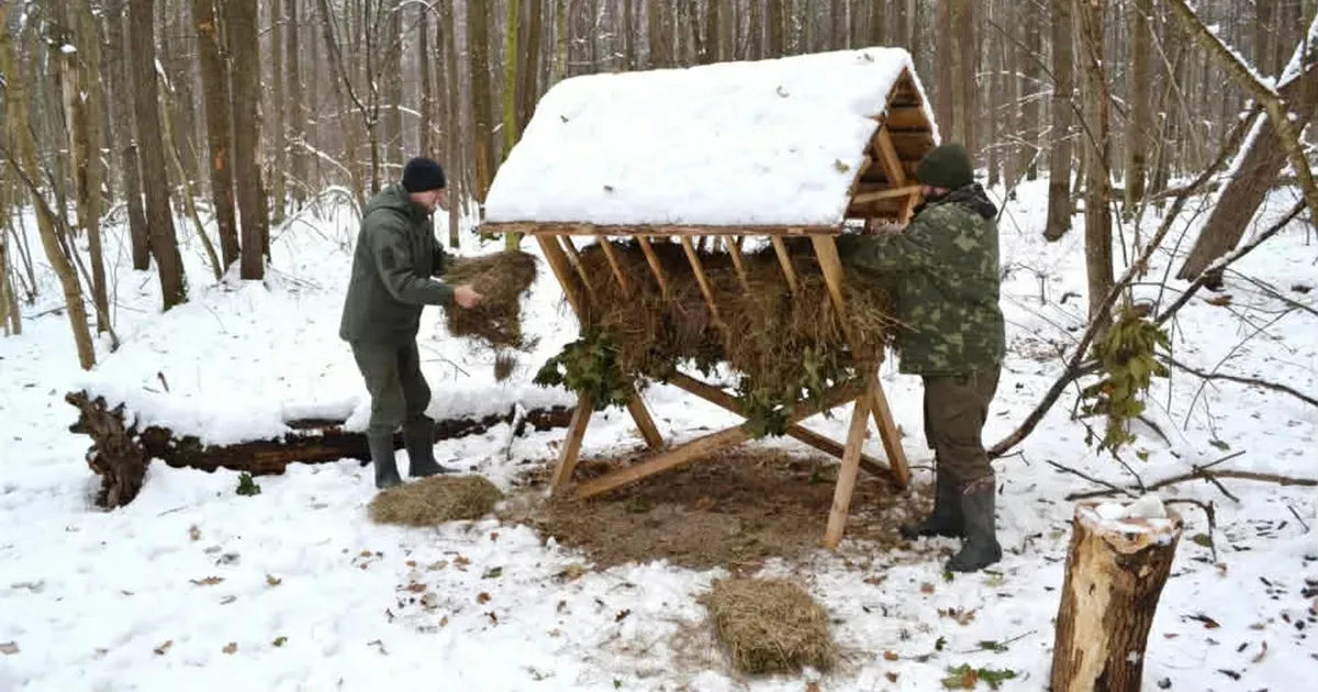 Рятуйте диких тварин від голоду! Саме це завдання в умовах надзвичайно сніжної зими виконують природолюбці.