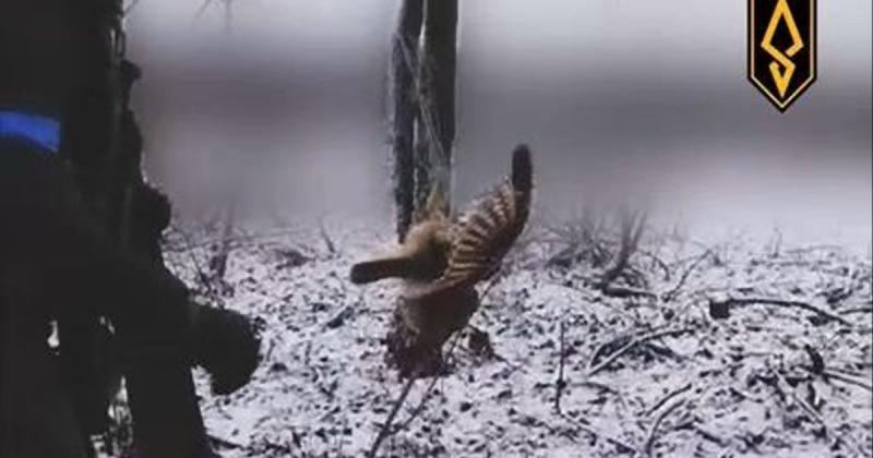 Бійці 429-го полку 