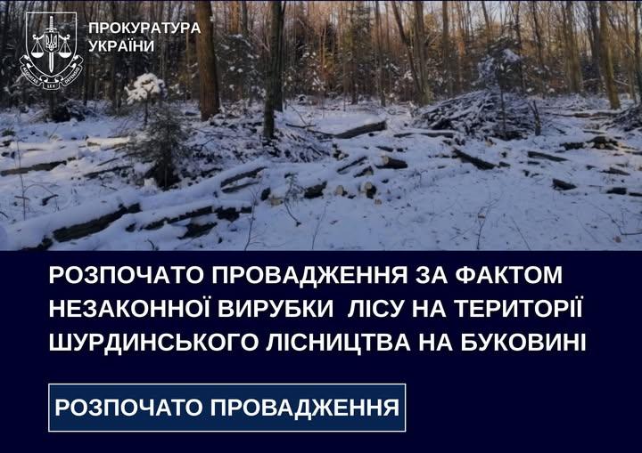 Розпочато розслідування у справі незаконної рубки лісу в межах Шурдинського лісництва на Буковині.