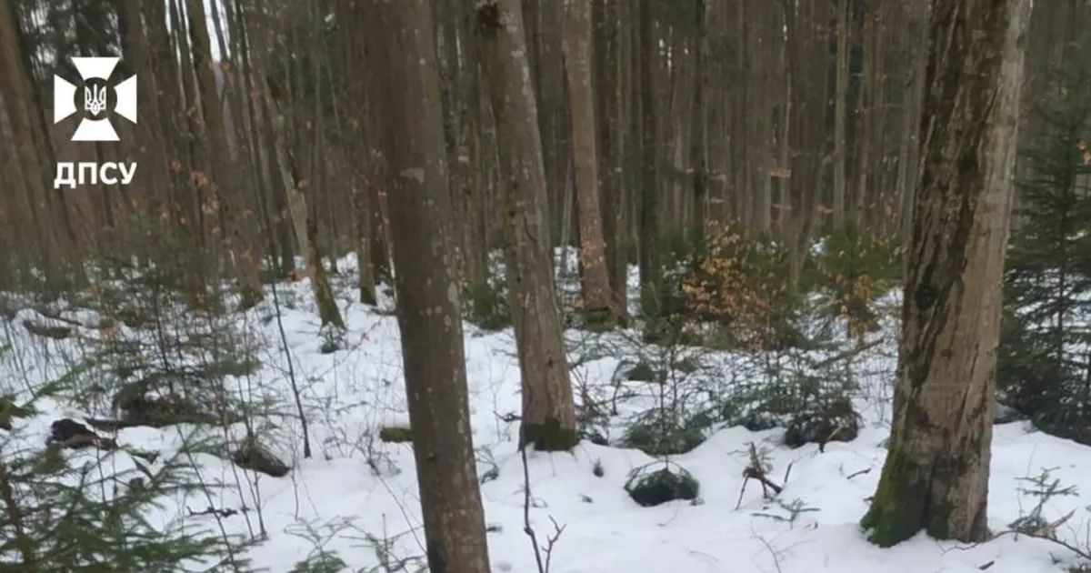 Трагічна подія на кордоні: на Буковині знайдено тіло 27-річного молодого чоловіка, який намагався втекти до Румунії.