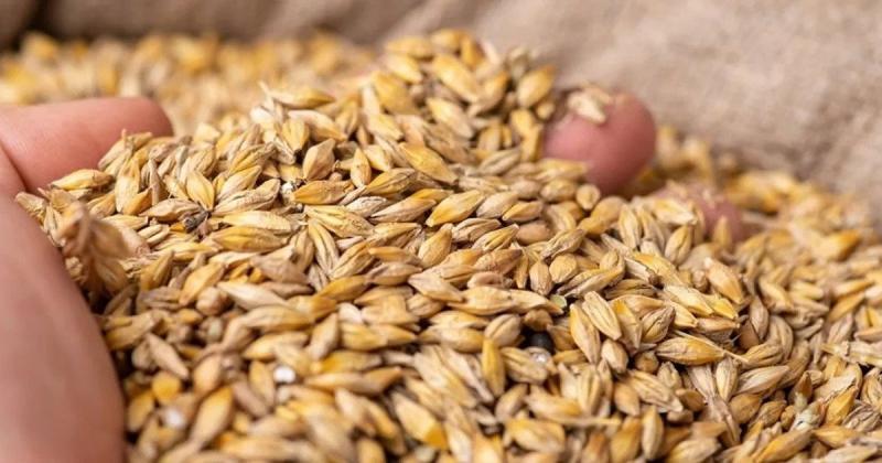 ВАКС ухвалив рішення про застосування запобіжних заходів із заставою до 19,9 млн грн для осіб, залучених у справу про крадіжку зерна з державної корпорації, повідомила САП.