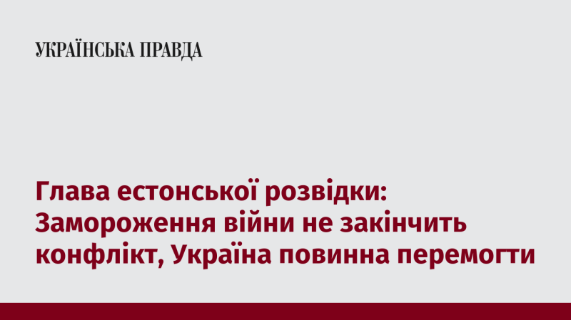 Директор естонської розвідки: Зупинка бойових дій не вирішить проблему, Україні необхідно досягти перемоги.