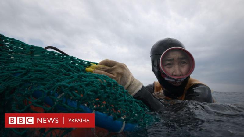 Жінки-русалки хеньо: Як зберегти унікальну майстерність пірнальниць - BBC News Україна