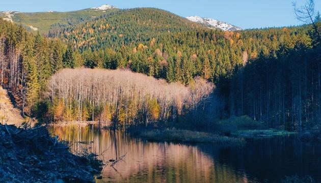 Внаслідок вирубки лісів у Карпатах з'явилося штучне водосховище.