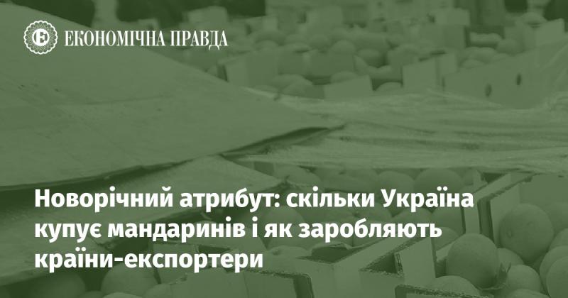 Новорічний символ: обсяги імпорту мандаринів в Україні та доходи країн-виробників.