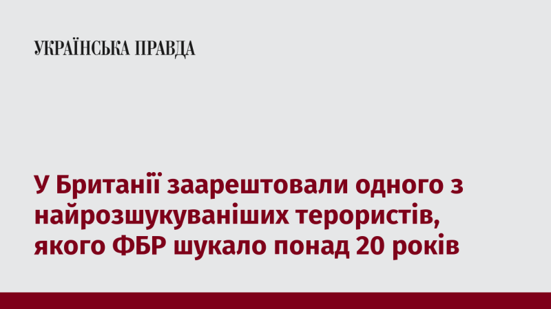 У Великій Британії затримали одного з найбільш розшукуваних терористів, який був у списку ФБР понад два десятиліття.