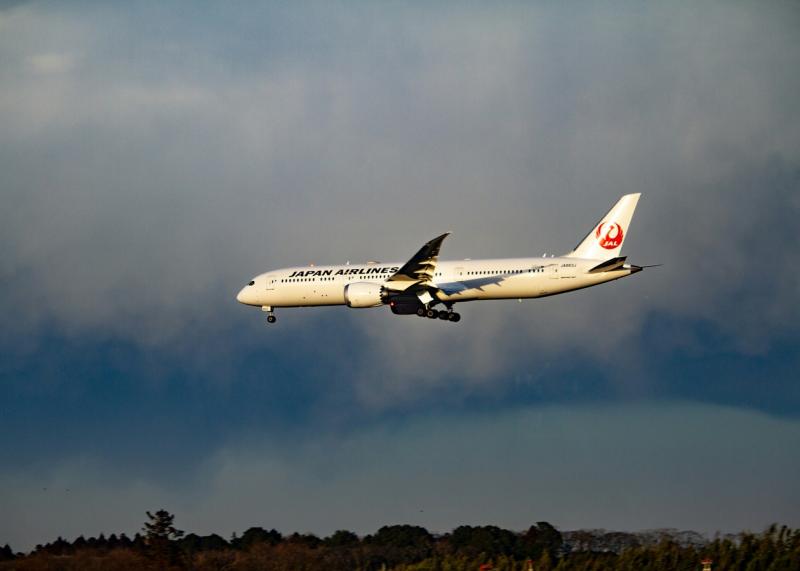 Авіаперевізник Japan Airlines оголосив про те, що став жертвою кібератак.