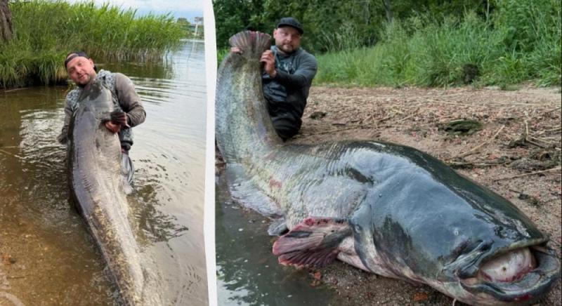 У Польщі рибалка витягнув з річки Одра величезного сома (фото)