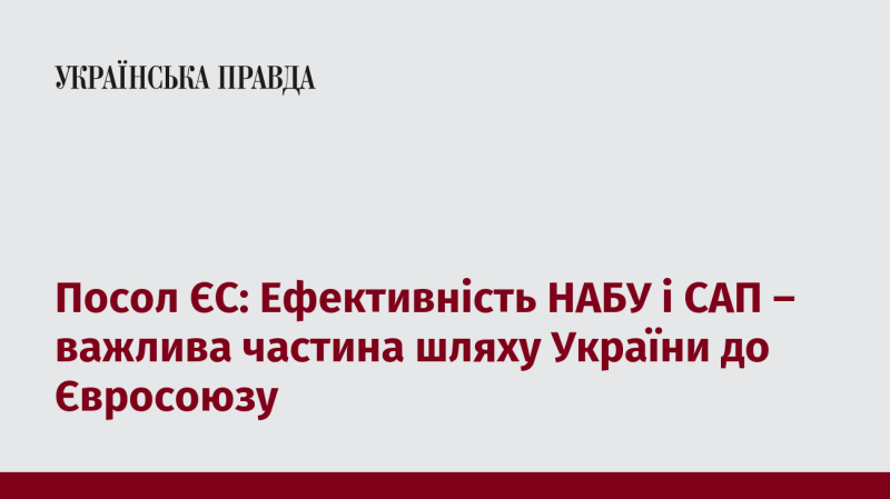 Представник Європейського Союзу: Результативність НАБУ та САП є ключовим елементом у прагненні України до європейської інтеграції.