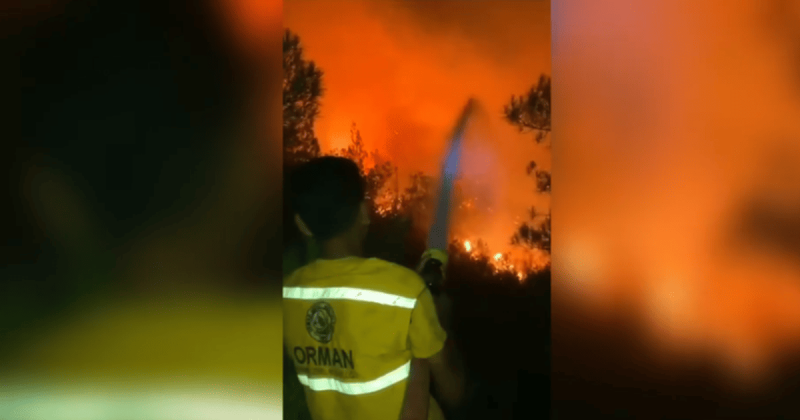 Пекельна спека в Туреччині: температури, що досягли 50°C, викликали лісові пожежі, які забрали життя багатьох людей.