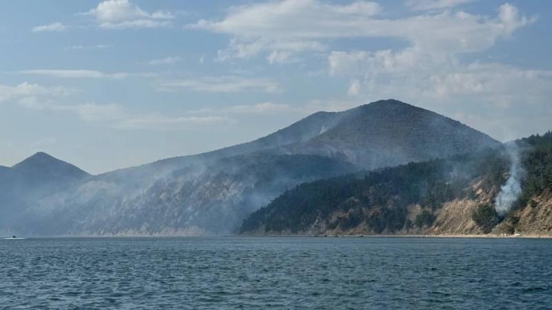 Атака безпілотника призвела до виникнення пожежі поблизу виноробного господарства Путіна в районі Геленджика.