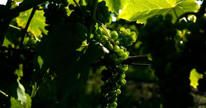 Астрологічний прогноз на 6 листопада