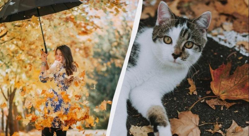 Уникніть трьох дій, щоб не накликати біду: прикмети щодо свята 7 листопада 2025 року.