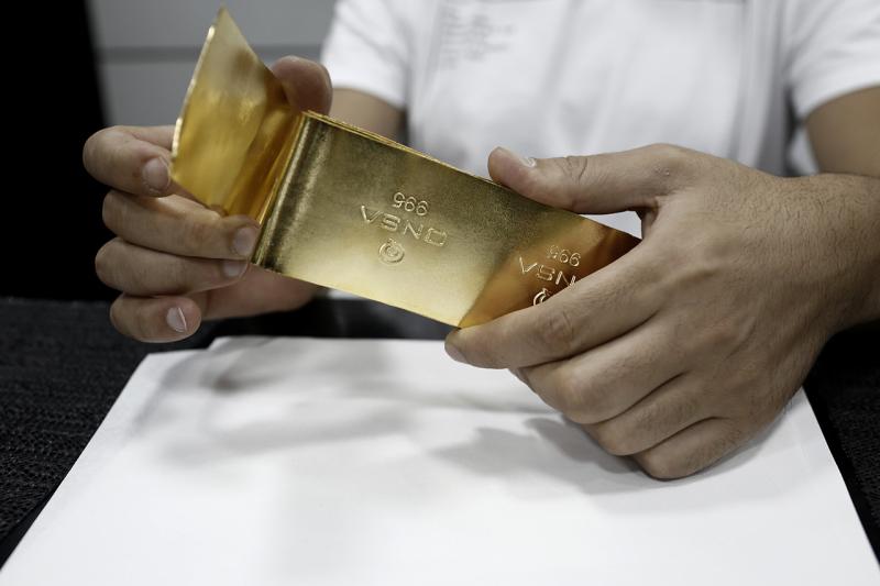 Француз натрапив на золоті злитки та монети вартістю $800 тисяч під час риття ями для басейну | Еспресо