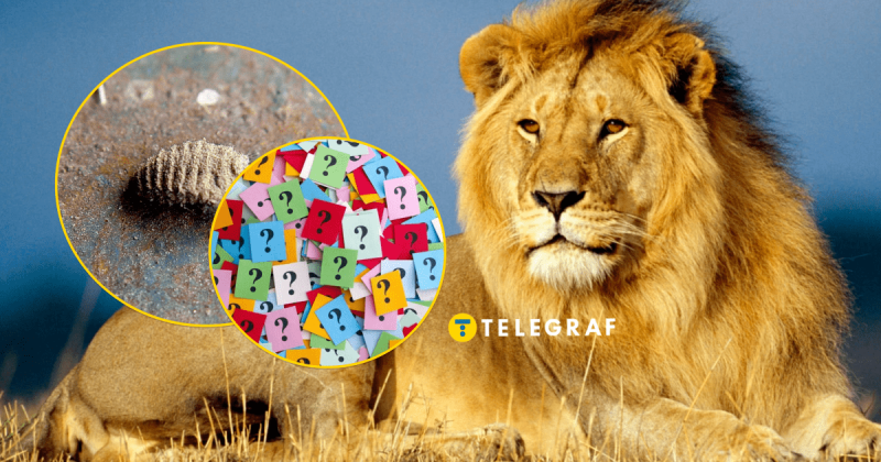 В Україні мешкає унікальний 