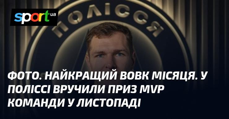 Зображення: Вовк місяця. У Поліссі оголосили переможця призу MVP команди за листопад.