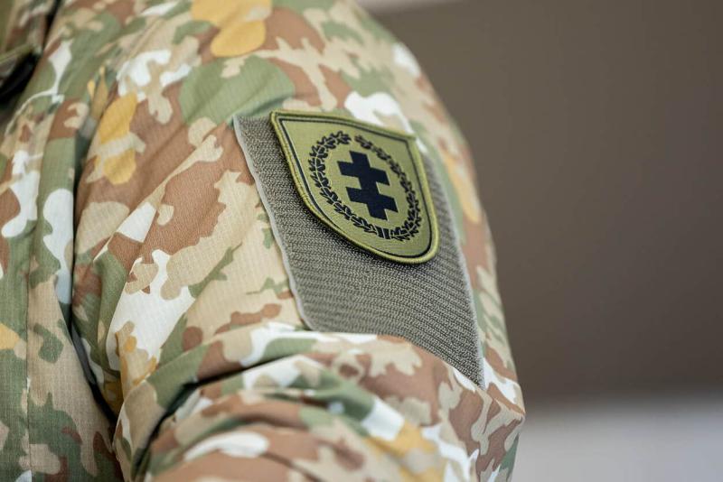 Литва має намір включити парамілітарні формування до складу збройних сил під час військових дій.