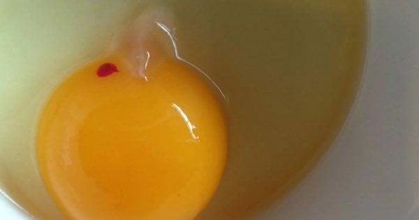 Чи безпечно вживати яйця: причини появи червоних плям на жовтку.