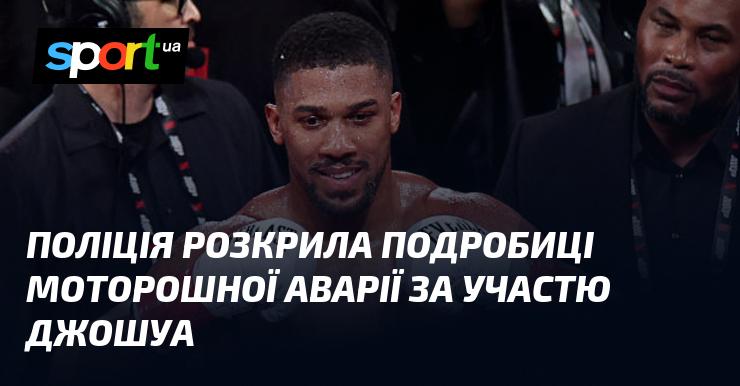 Правоохоронці оприлюднили деталі жахливої ДТП за участю Джошуа.