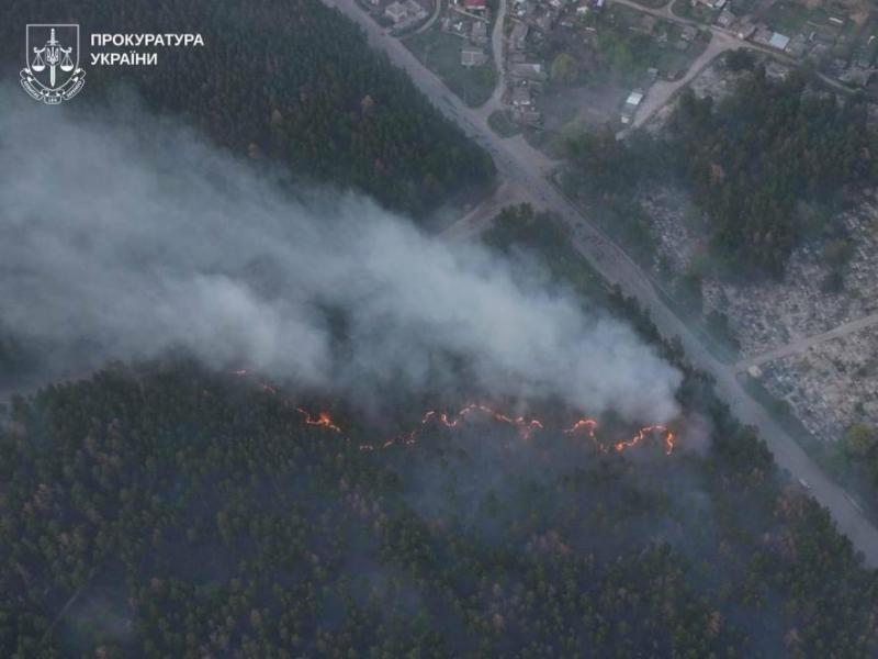 Недопалок вартістю 30 мільйонів: у Харківській області знищили заповідник через одну сигарету.
