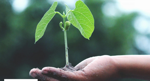 У Харківському регіоні провели лабораторний аналіз ґрунтів.