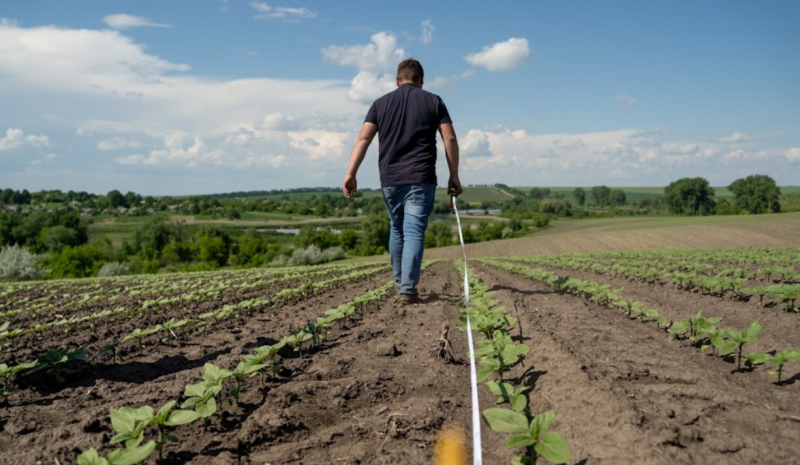 Суд скасовує право власності на земельну ділянку: чи існує можливість отримати відшкодування?