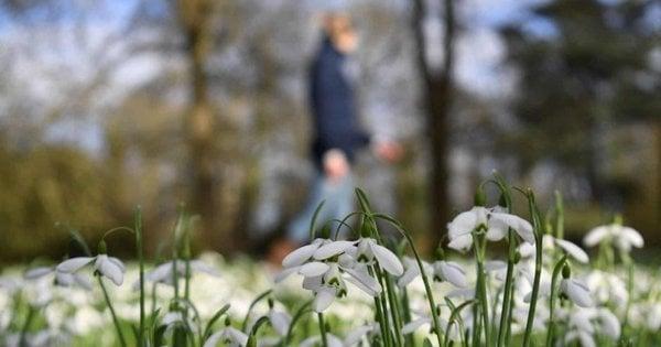 Весняний календар: прогноз погоди у Львові на найближчий тиждень