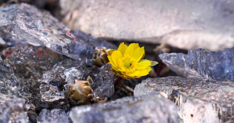 Погода в Україні 6 березня: нічні температури опустяться до -8°, вдень очікується підвищення до +11° - новини від bigmir)net.