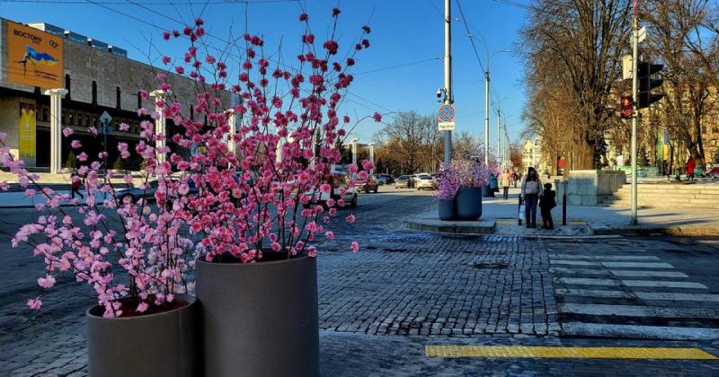Весняна погода вже на підході: на цьому тижні в Харкові стовпчики термометрів піднімуться до +14 градусів.