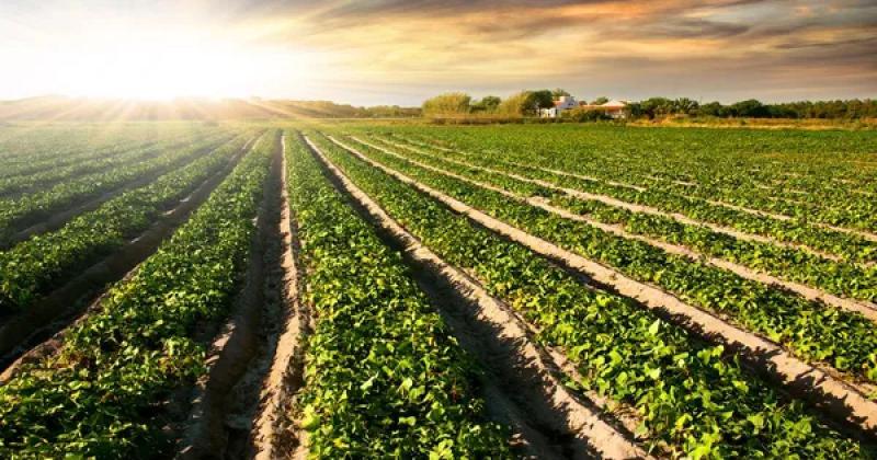 Дніпропетровщина та столиця України, Київ, зайняли провідні позиції за сумою земельного податку — повідомляє Delo.ua.