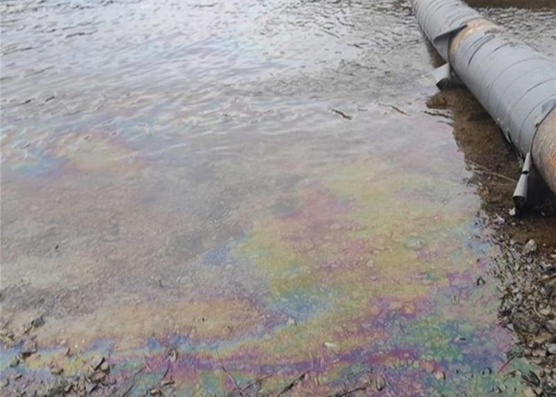 Наслідки агресії Росії: у трьох регіонах виявлено нафтові забруднення в річці Дністер.