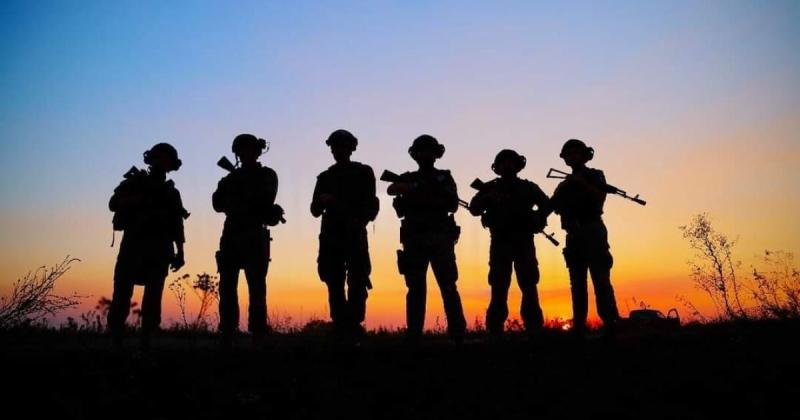 Кіт і пес подолали сотні кілометрів на дроні: зворушлива розповідь про порятунок тварин з зони бойових дій (фото)