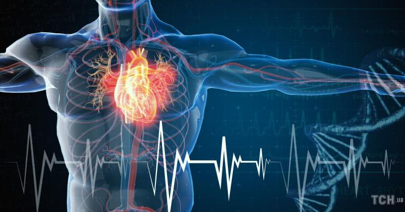 Що придбати в супермаркеті: перелік товарів для підтримки здоров'я серця.