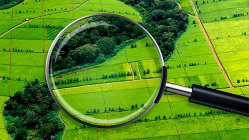 Уряд змінює методику грошової оцінки сільськогосподарських земель, інтегруючи в неї фактори, пов'язані з наслідками руйнування Каховської ГЕС.